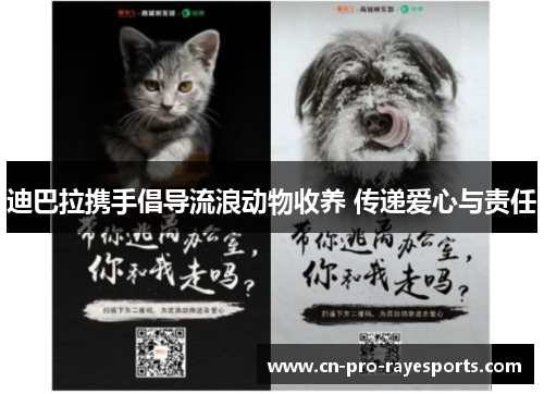 迪巴拉携手倡导流浪动物收养 传递爱心与责任