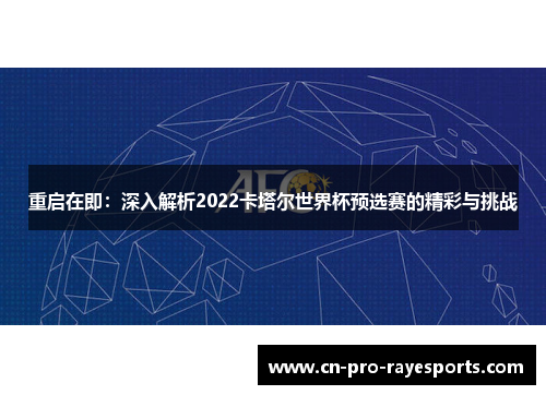 重启在即：深入解析2022卡塔尔世界杯预选赛的精彩与挑战